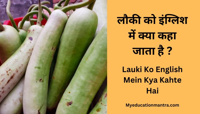Lauki Ko English Mein Kya Kahte Hai