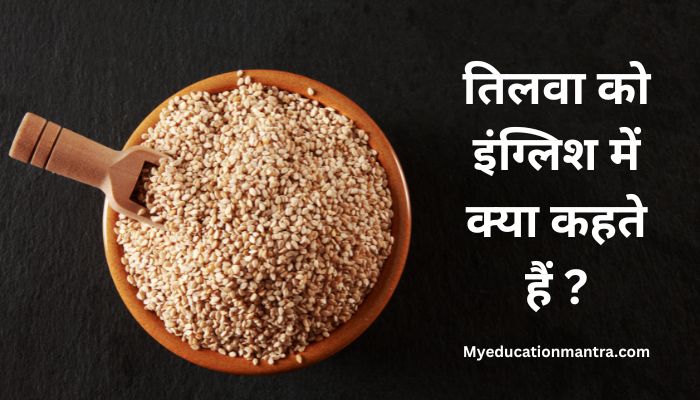 Tilwa Ko English Mein Kya Kahate Hain