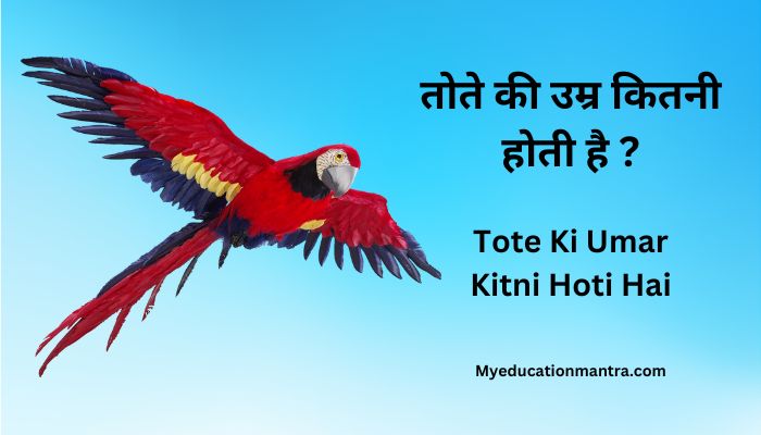 Tote Ki Umar Kitni Hoti Hai