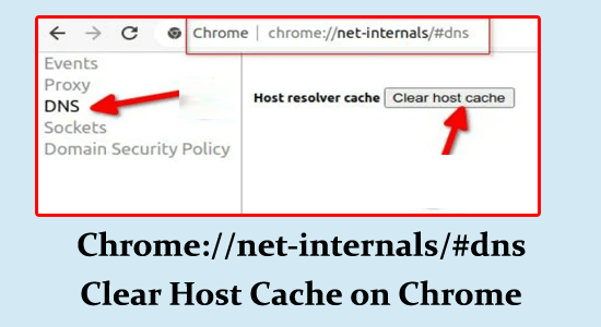 Chrome.//net-internals/dns History